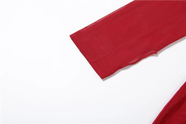 Nibber Sexy Swinging Collar Maxi Dress Women Patchwork See Through Full Sleeve Midnight Party Skinny Coquett Wild Vestidos